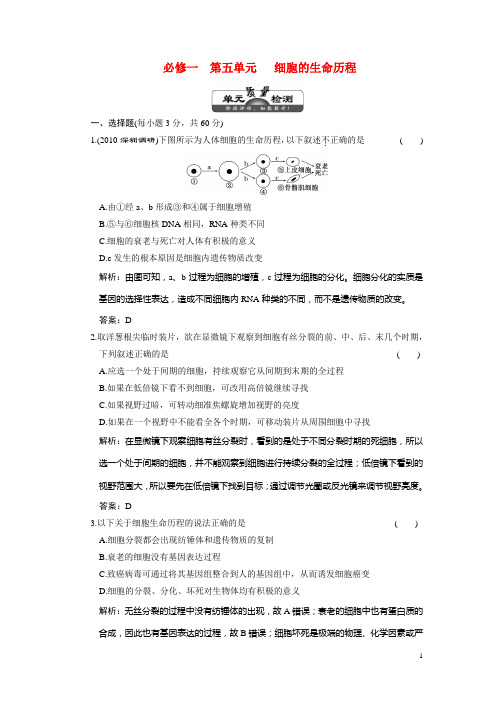 2011年高考生物 一轮复习 第5单元 细胞的生命历程 单元质量检测 课标人教版必修1(三维设计,解析版)