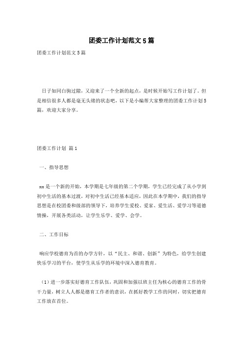 团委工作计划范文5篇