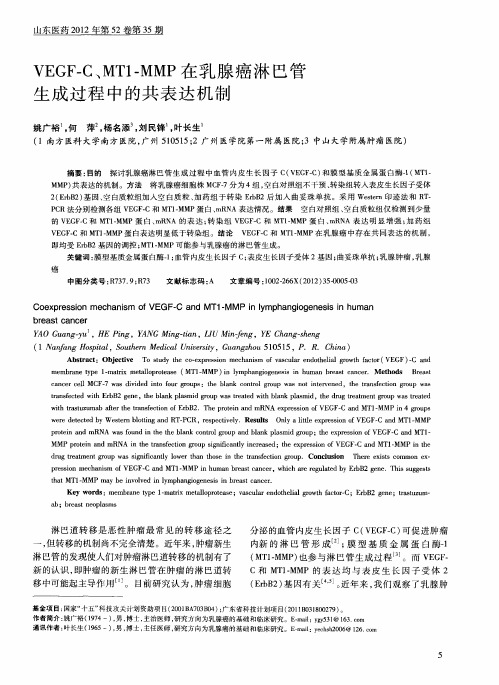 VEGF—C、MT1-MMP在乳腺癌淋巴管生成过程中的共表达机制