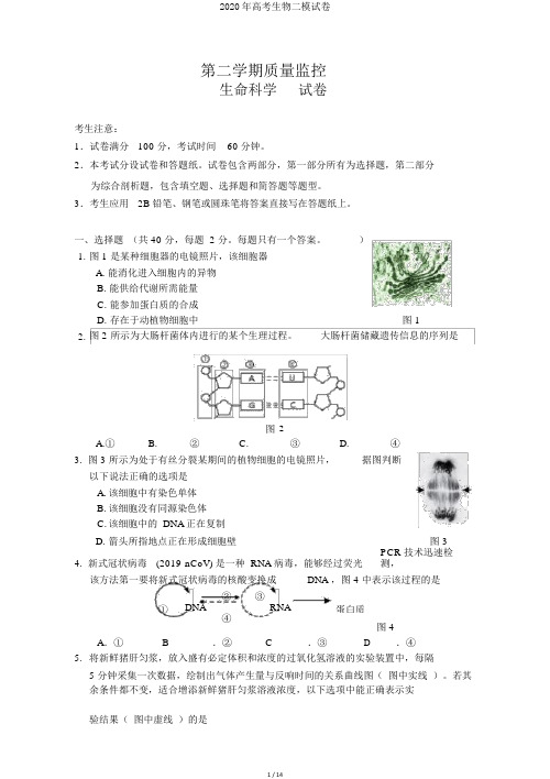 2020年高考生物二模试卷