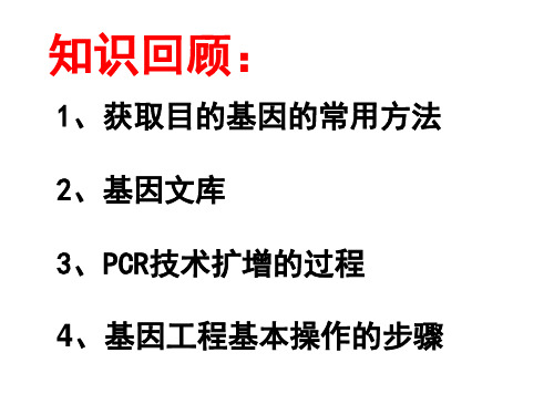 1.2基因工程的基本操作程序(第二课时)