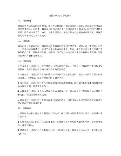 烟台市可行性研究报告