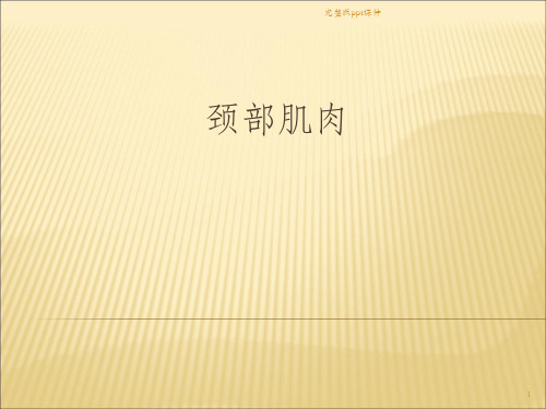 主要颈部肌肉介绍ppt课件