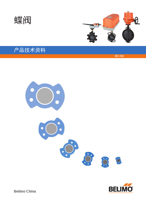 博力谋——蝶阀