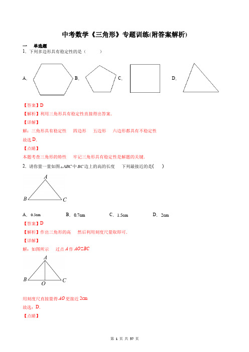 中考数学《三角形》专题训练(附答案解析)