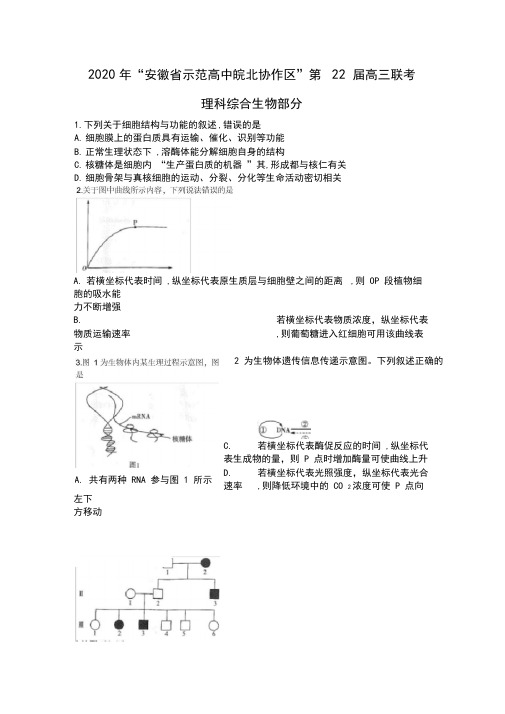 2020年安徽省示范高中皖北协作区第22届高三联考理综生物试题(解析版)