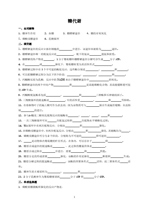 糖代谢复习题汇总