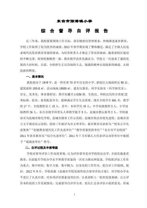 综合督导自评报告2012
