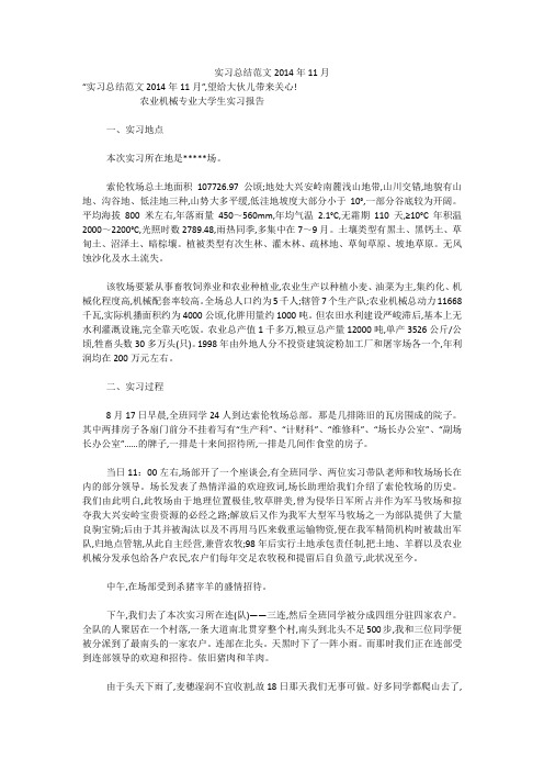 实习总结范文2014年11月