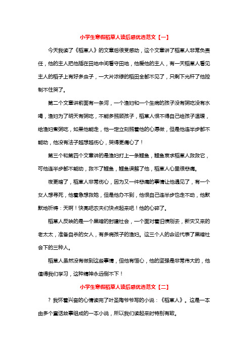 小学生寒假稻草人读后感优选范文【一】