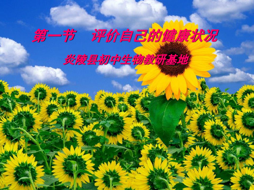 评价自己的健康状况 ppt课件