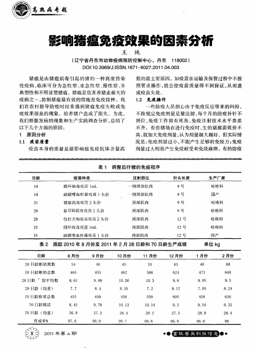 影响猪瘟免疫效果的因素分析