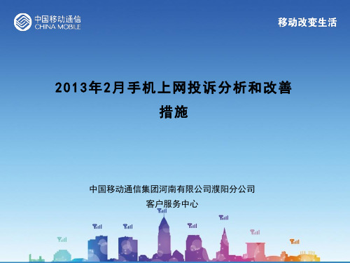 2013年2月手机上网投诉分析和改善措施.ppt