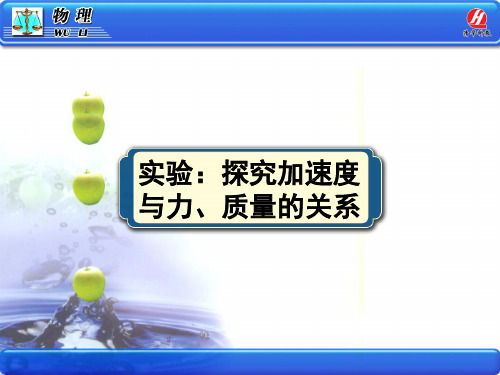 物理必修实验探究加速度与力质量的关系课件
