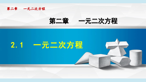 湘教版九年级数学《一元二次方程》PPT课件