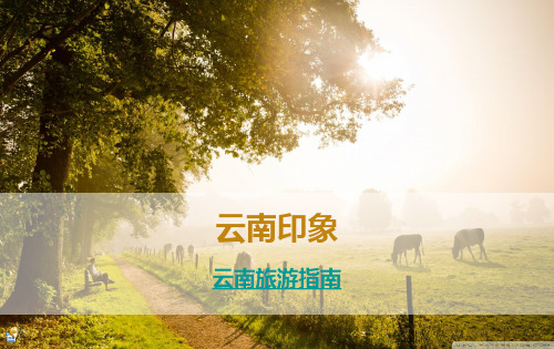 云南印象