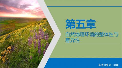 2020版高考地理一轮总复习第5章自然地理环境的整体性和差异性第13讲自然地理环境的整体性与差异性课件