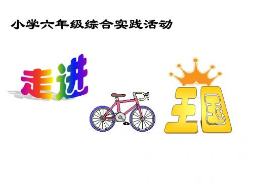 走进自行车王国