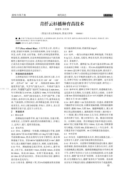 青扦云杉播种育苗技术