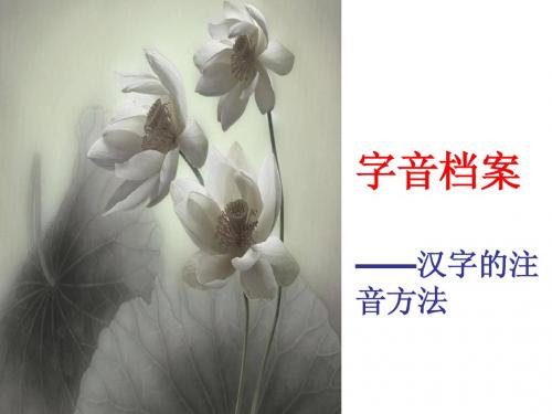 字音档案——汉字的注音方法