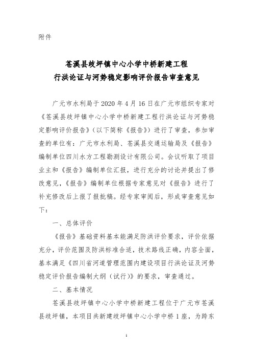 行洪论证与河势稳定影响评价报告审查意见