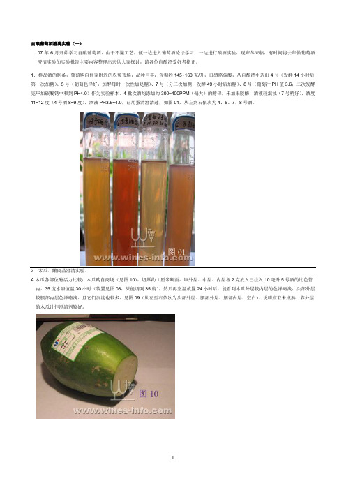 自酿葡萄酒澄清实验