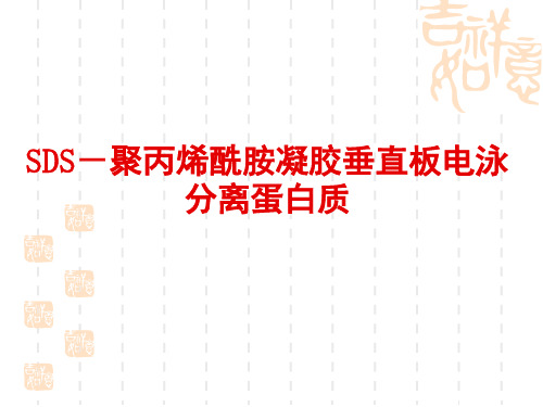 western blotting 经验原理及问题分析