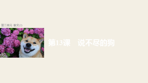 语文课件：第13课 说不尽的狗