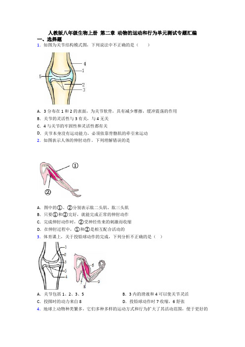 人教版八年级生物上册 第二章 动物的运动和行为单元测试专题汇编