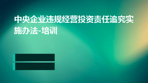 中央企业违规经营投资责任追究实施办法-培训