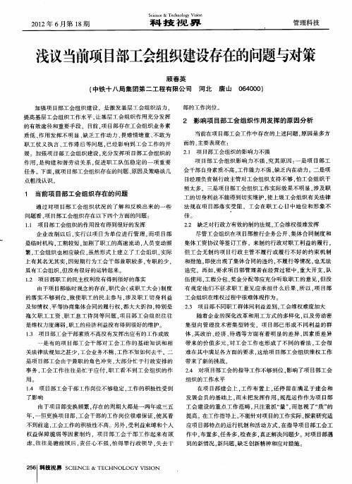 浅议当前项目部工会组织建设存在的问题与对策