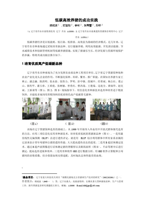 低碳高效养猪的成功实践