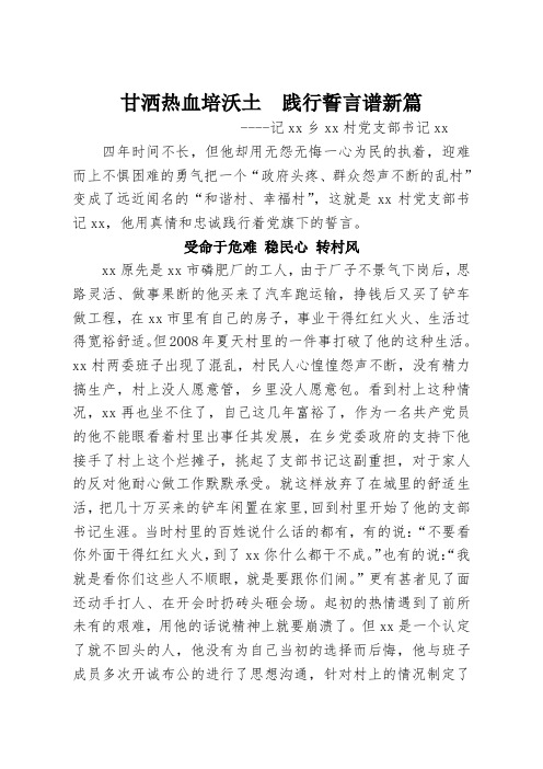 xx村党支部书记先进事迹材料