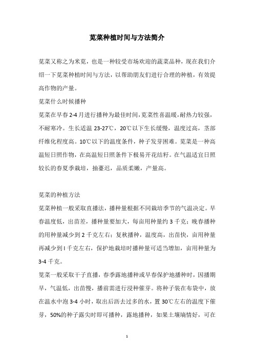 苋菜种植时间与方法简介