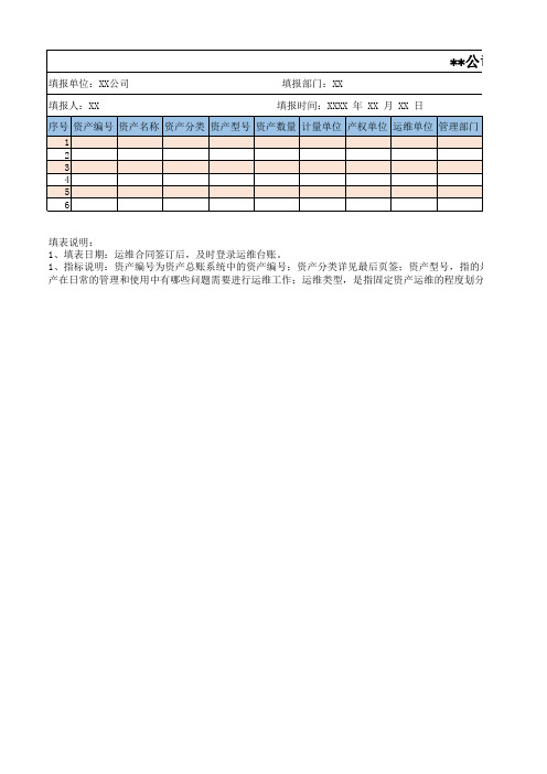 公司年度资产运维台账Excel模板