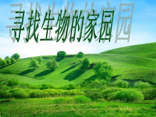 四1寻找生物的家园