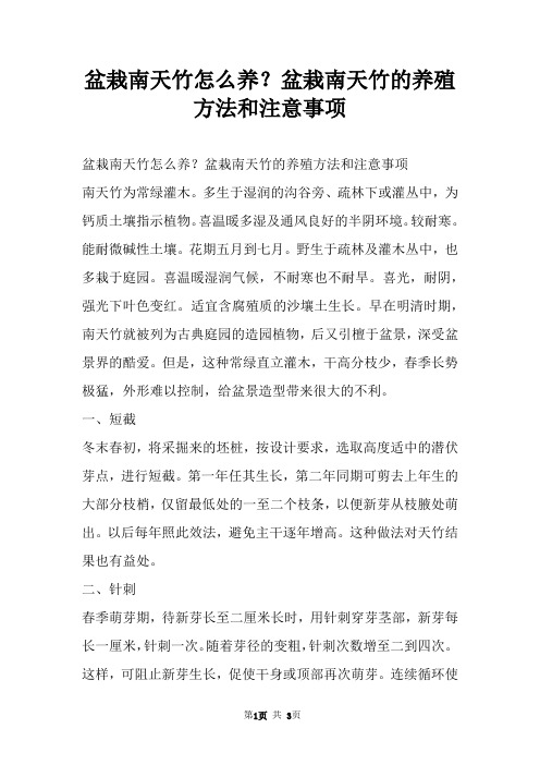 盆栽南天竹怎么养？盆栽南天竹的养殖方法和注意事项
