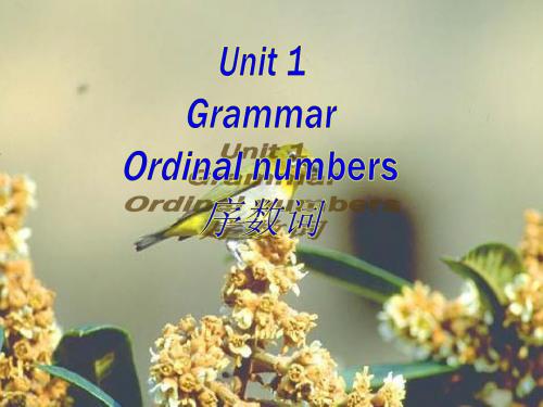新牛津英语7下 Unit 1 Grammar II 序数词