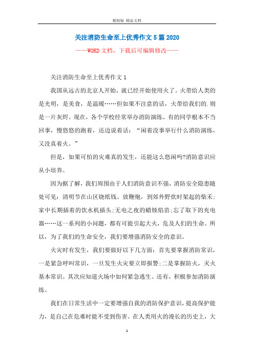 关注消防生命至上优秀作文5篇2020