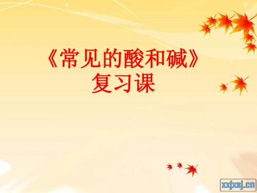 第十单元 常见的酸和碱复习课