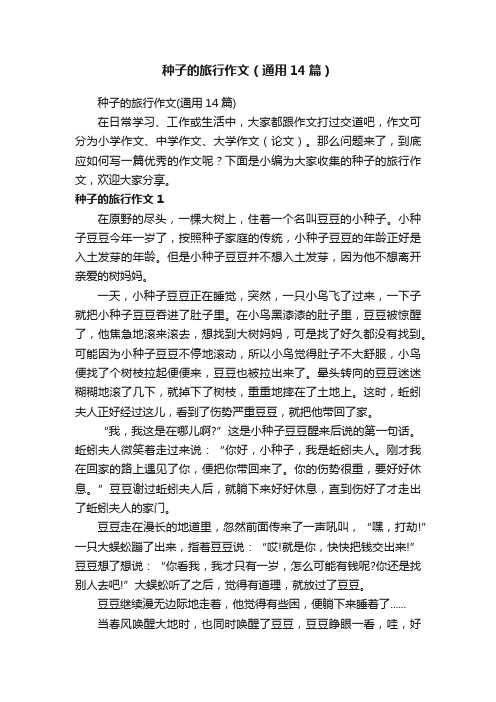 种子的旅行作文（通用14篇）