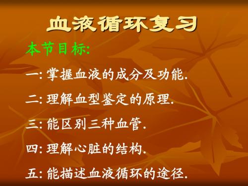血液循环复习课件
