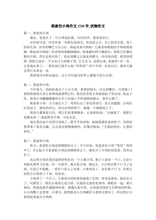 我家的小鸡作文250字_状物作文