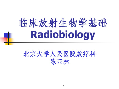 临床放射生物学基础ppt课件