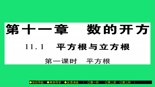 八年级数学上册第十一章数的开方 平方根与立方根 课件华东师大版