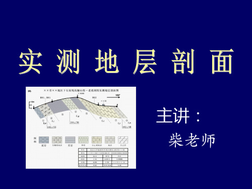 柴老师-实测地层剖面new