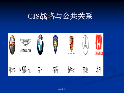 CIS战略与公共关系  ppt课件