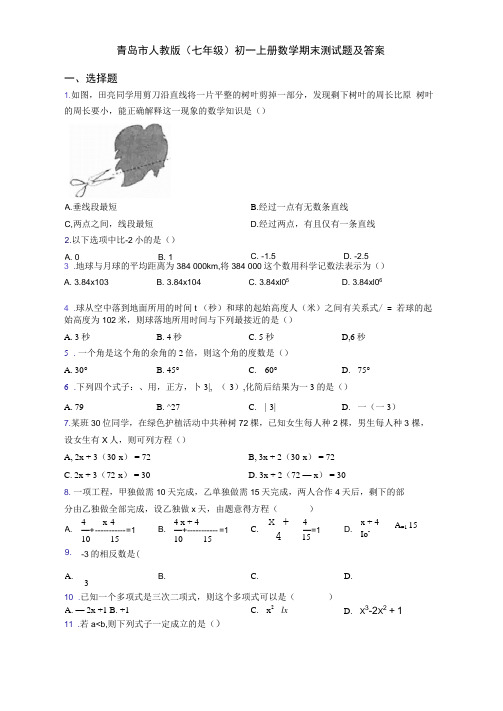 青岛市人教版(七年级)初一上册数学期末测试题及答案