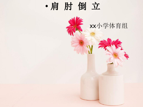 小学体育《肩肘倒立》课件