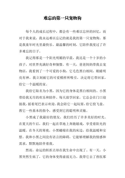 难忘的第一只宠物狗(1000字)